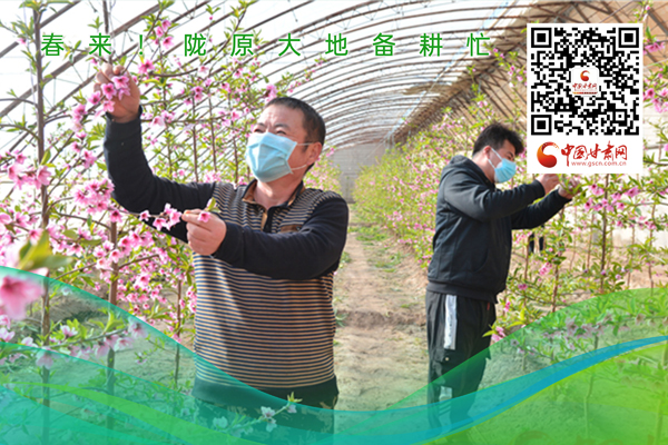 海報(bào)丨春來(lái)！隴原大地春耕忙