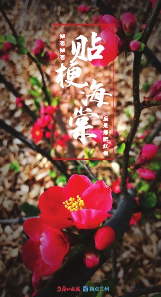 來，跟這些美美的花朵認識一下！