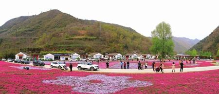 美麗隴南，風景這邊獨好——隴南市推進鄉(xiāng)村旅游高質(zhì)量發(fā)展綜述