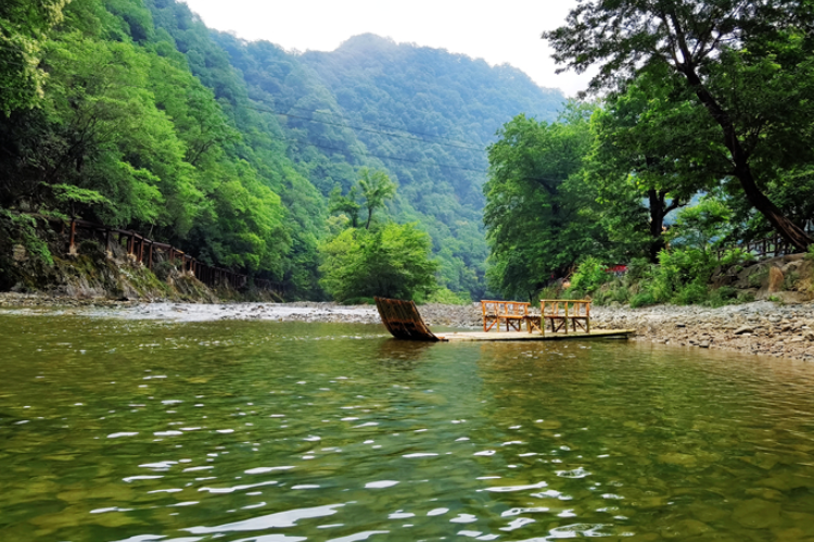 【小隴畫報·95期】康縣：來陽壩，“森”呼吸，我“氧”你