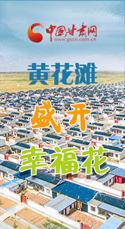 【跟著總書(shū)記看甘肅】長(zhǎng)圖|武威黃花灘盛開(kāi)幸?；?
