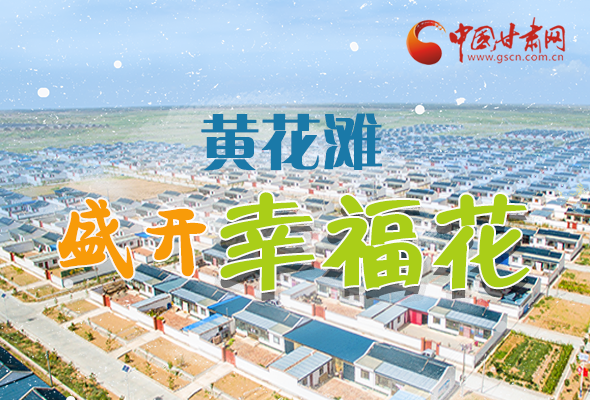 【跟著總書(shū)記看甘肅】長(zhǎng)圖|武威黃花灘盛開(kāi)幸?；?
