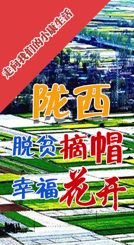 【走向我們的小康生活】長圖|隴西：脫貧摘帽 幸?；ㄩ_