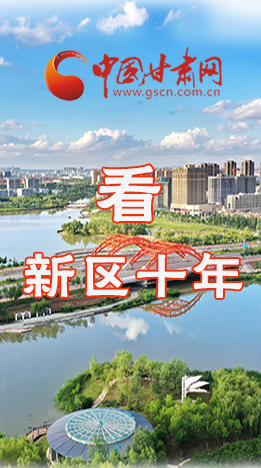 圖解|崛起！新區(qū)十年