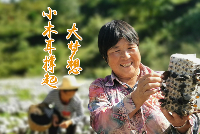 海報(bào)丨他們，乘“豐”破浪！