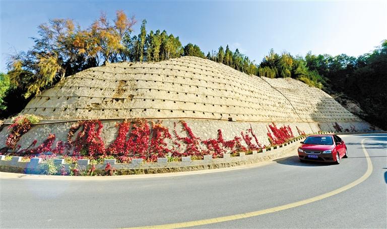 近90度陡坡上種樹！蘭州南北兩山綠化出新招