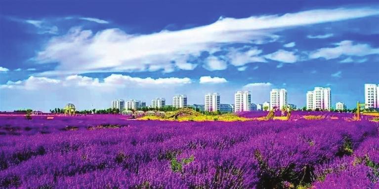 “三連冠”！金昌蟬聯(lián)全國文明城市