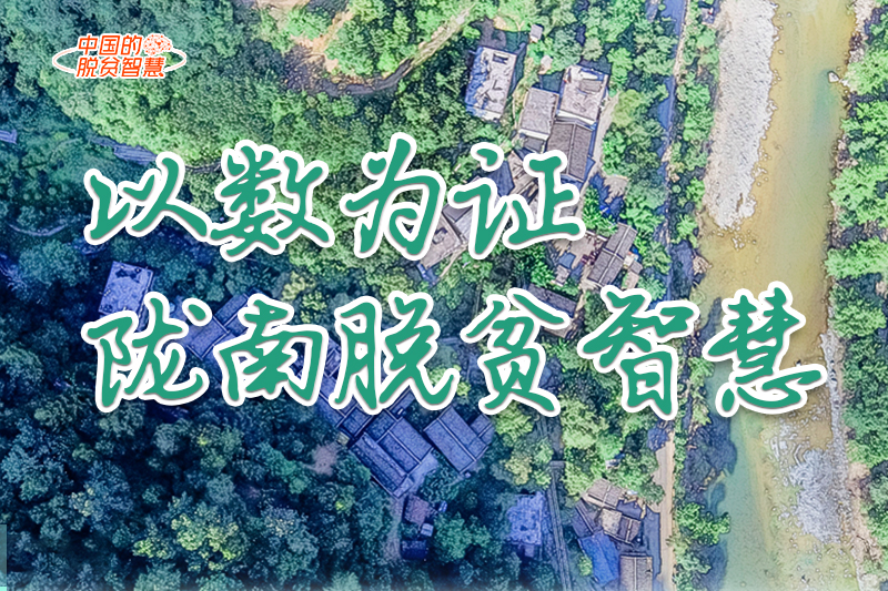 【中國的脫貧智慧】以數(shù)為證！隴南脫貧智慧來了！