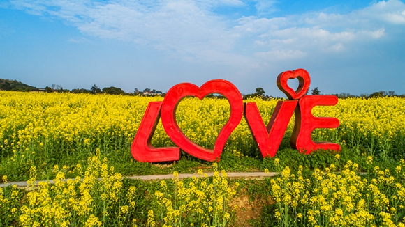 “l(fā)ove”創(chuàng)意拍照墻。廖濤 攝