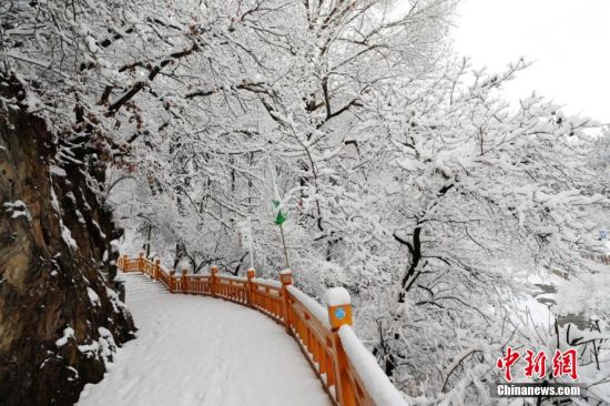 圖為上山的石階被雪覆蓋。張?zhí)鞂?攝