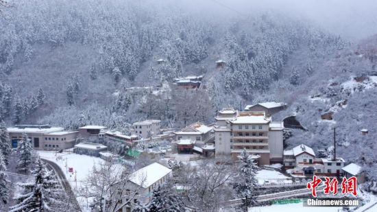 圖為籠罩在雪下的世界。吳永 攝