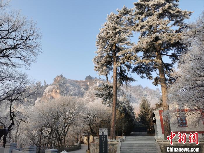 圖為崆峒山霧凇景色美不勝收?！⌒煺袢A 攝