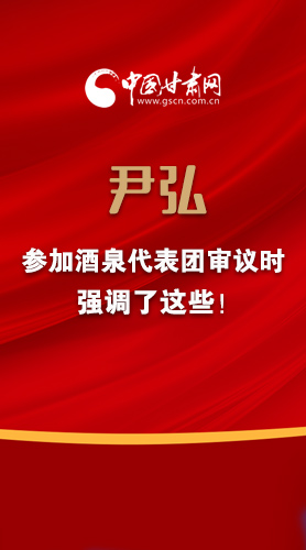 【2022甘肅兩會·圖解】尹弘書記參加酒泉代表團審議時強調了這些！