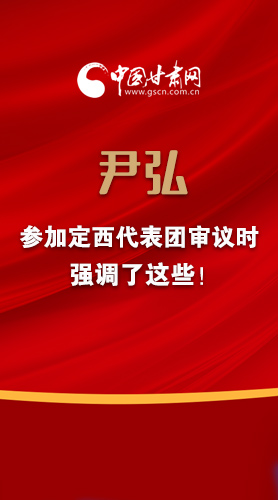 【2022甘肅兩會·圖解】尹弘書記參加定西代表團審議時強調了這些！