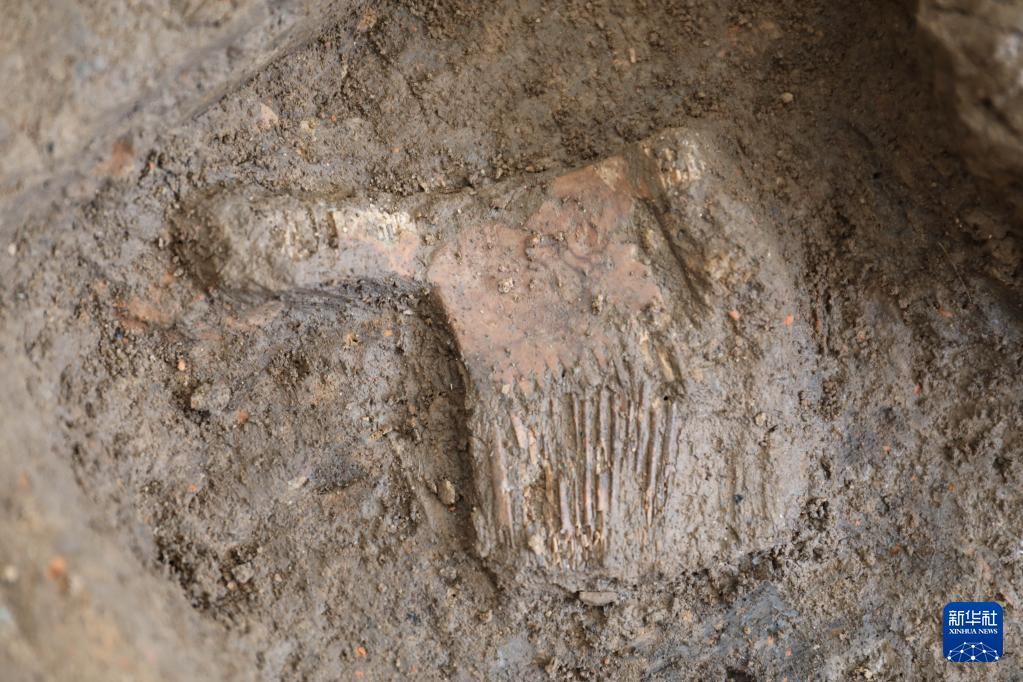 河南南陽市黃山新石器時(shí)代遺址出土的屈家?guī)X文化骨梳（資料圖）。
