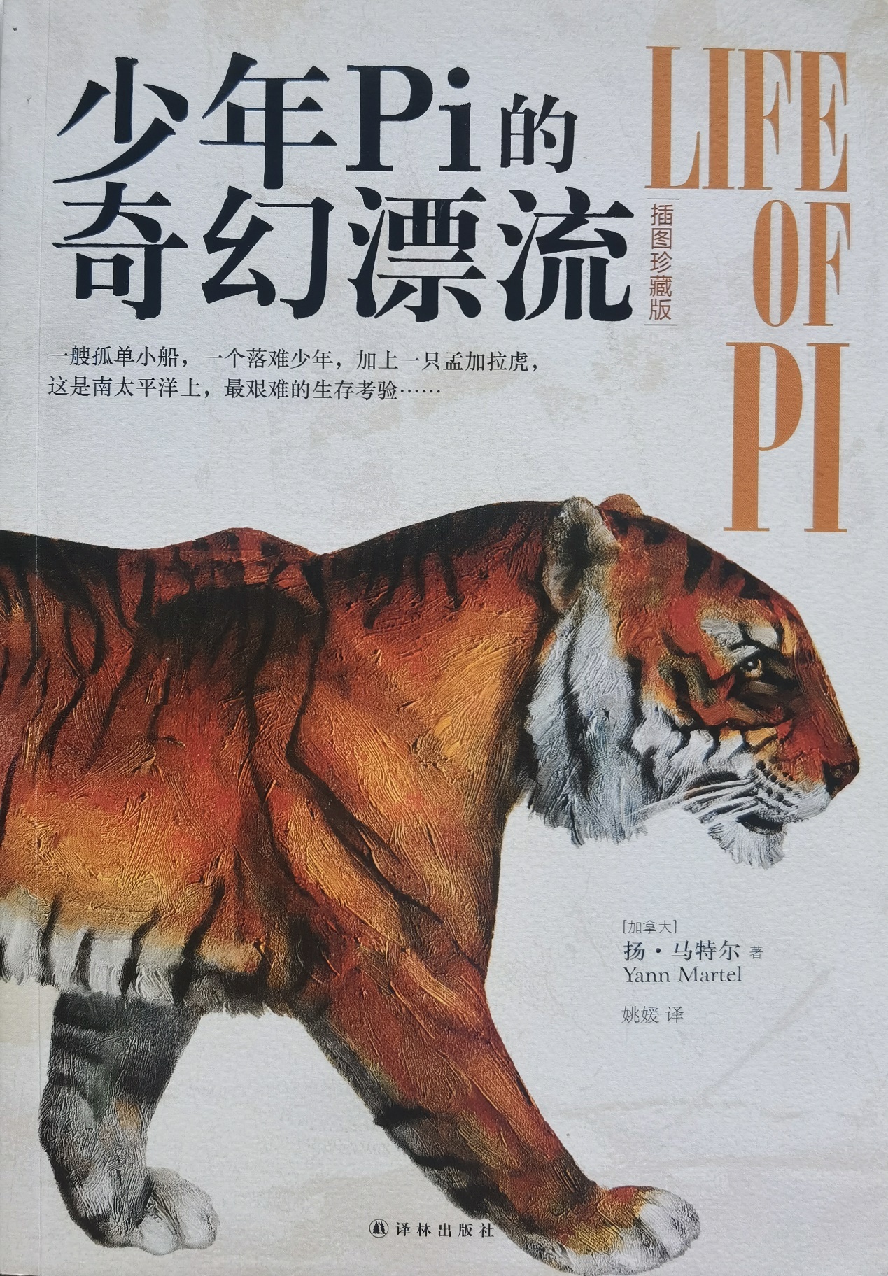 插圖1：揚？馬特爾的小說《少年pi的奇幻漂流》封面