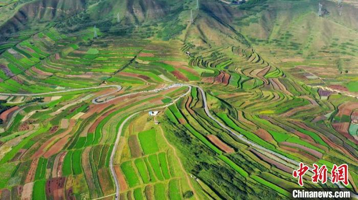 秋日里，榆中縣馬坡鄉(xiāng)千畝梯田，不同農(nóng)作物漸趨成熟，呈現(xiàn)出多種色彩，宛若大地的“調(diào)色盤”?！圆?攝