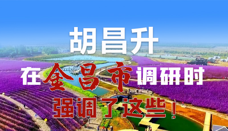 圖解|胡昌升在金昌市調(diào)研時強調(diào)了這些！