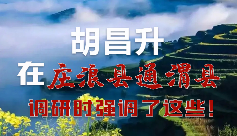 圖解|胡昌升在莊浪縣通渭縣調(diào)研時(shí)強(qiáng)調(diào)了這些！