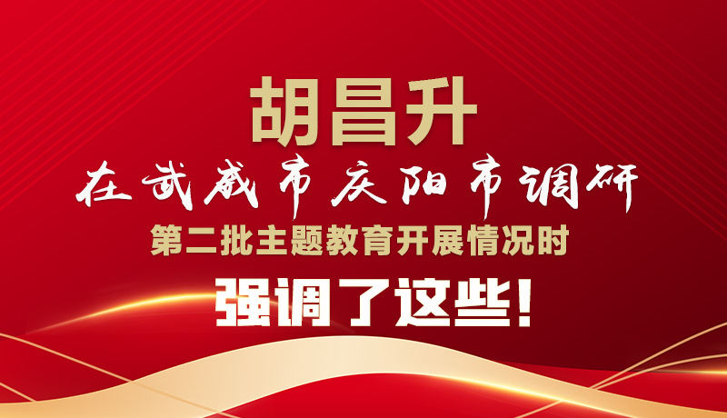 圖解|胡昌升在武威市慶陽市調(diào)研第二批主題教育開展情況時強(qiáng)調(diào)了這些！