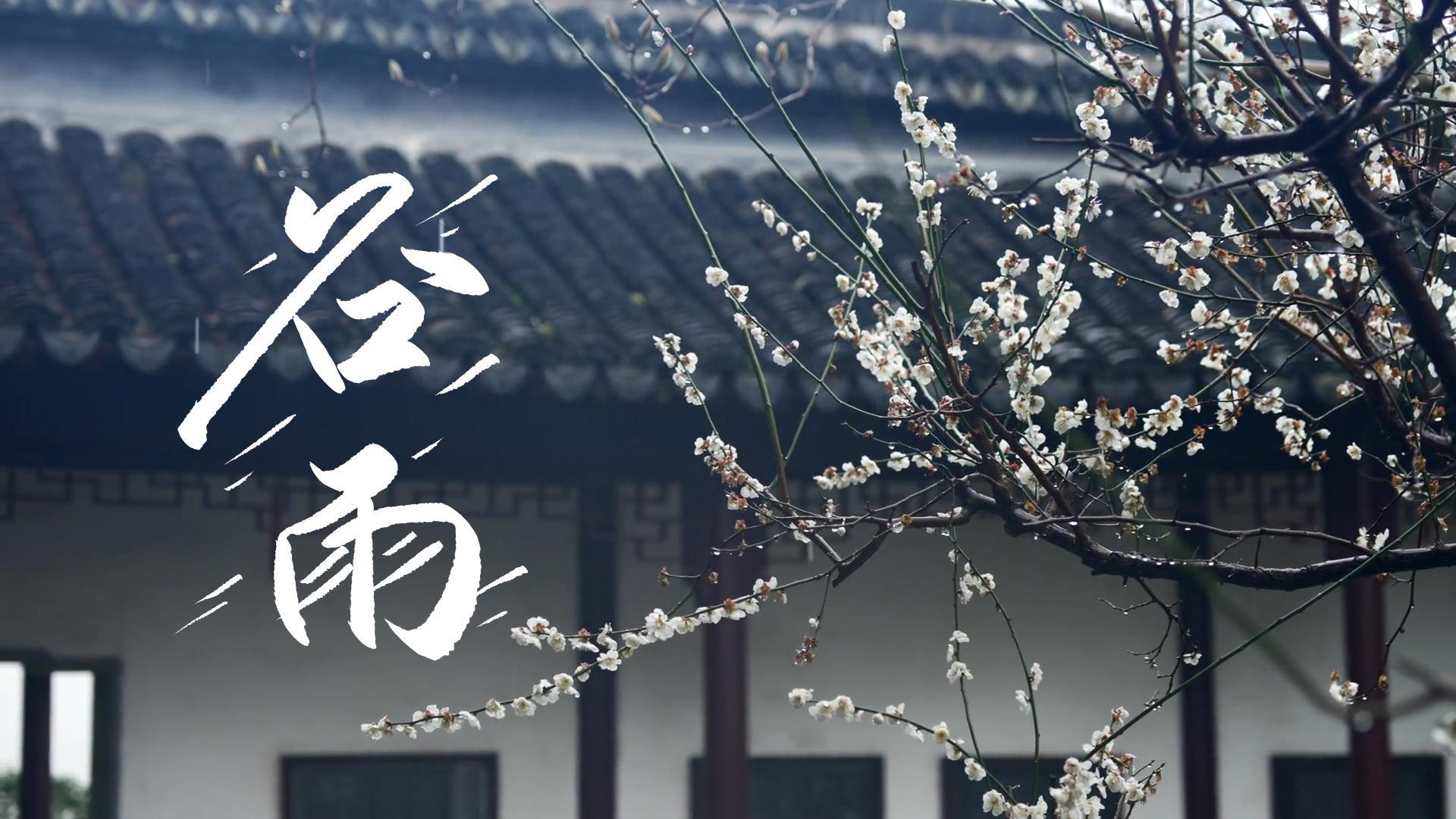 【節(jié)氣里的大美甘肅】谷雨，春天的最后一次回眸
