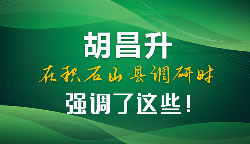 圖解|胡昌升在積石山縣調(diào)研時(shí)強(qiáng)調(diào)了這些！