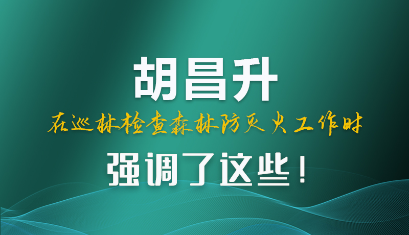 圖解|胡昌升在巡林檢查森林防滅火工作時強調(diào)了這些！